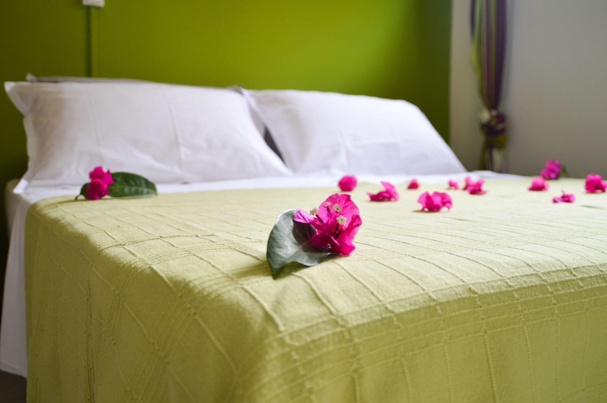 Hotel Tante Arlette Grand'Riviere Exterior foto